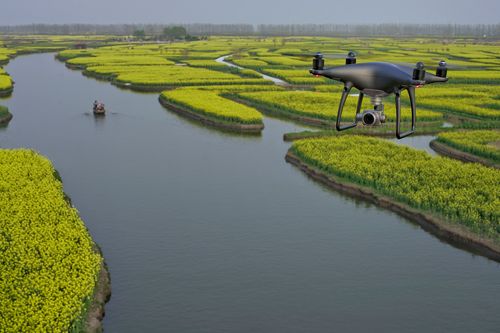 DJI Phantom