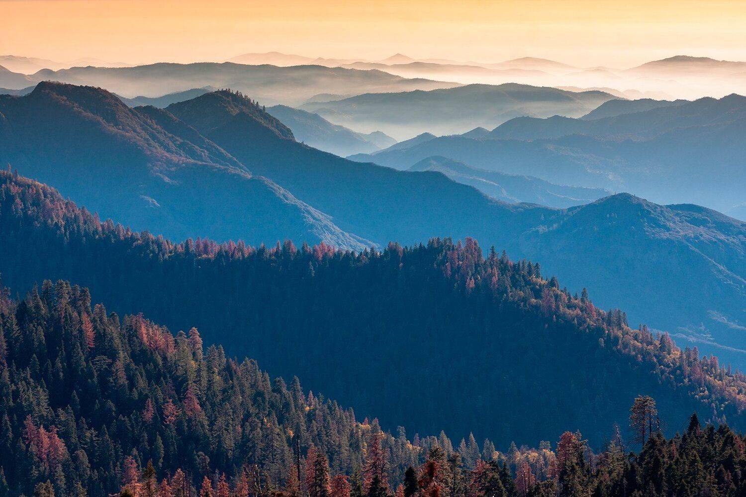 #mountains#landscape#kalifornia#nature#forest, Jaroslaw Frycz