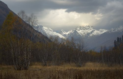 Хмурое утро Домбая