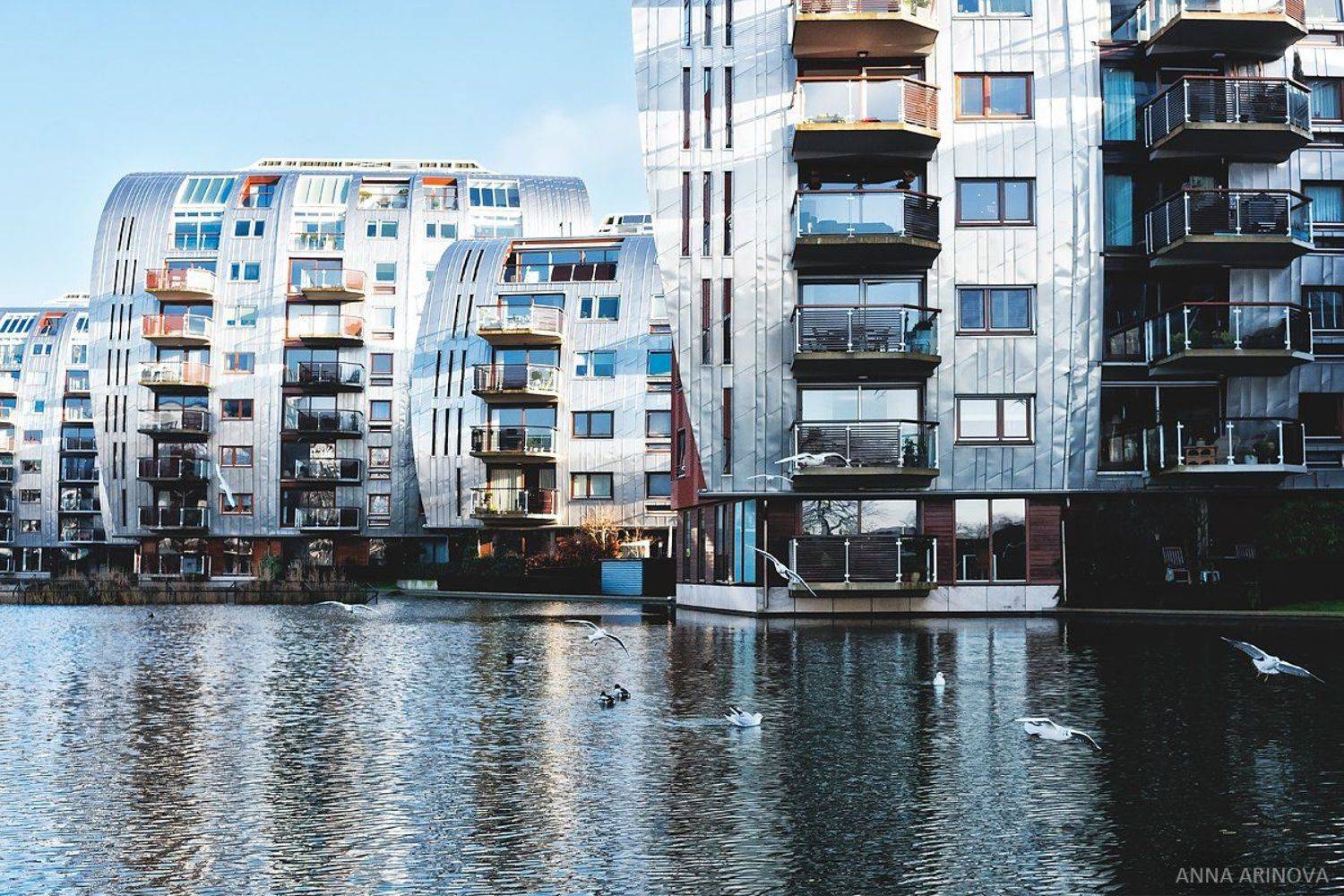 , Анна Аринова