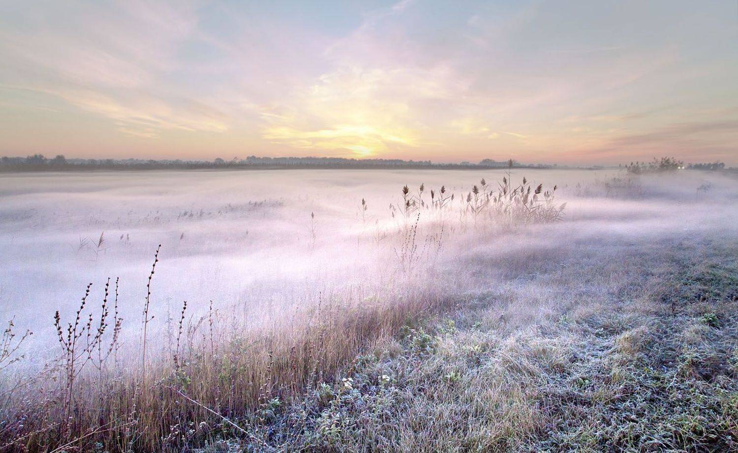 , Юлия Рублевская