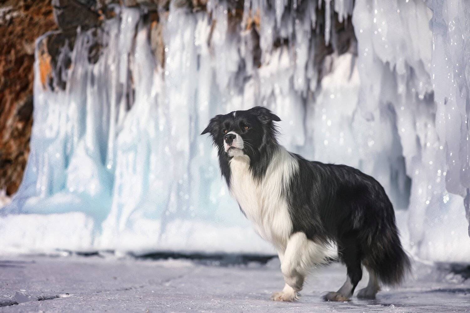 , Андрей Ершов