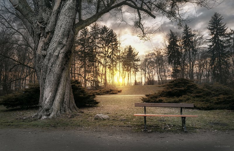 Парк Понятовского. Лодзь фото превью