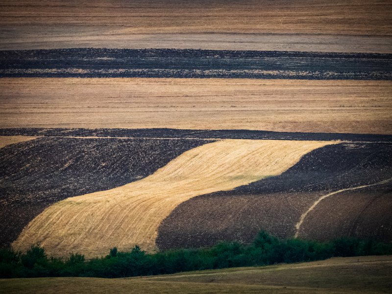 Agricultural areas фото превью