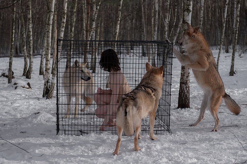 * фото превью