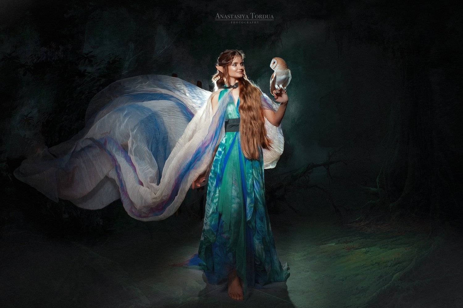 эльф сова сказка, Анастасия Тордуа