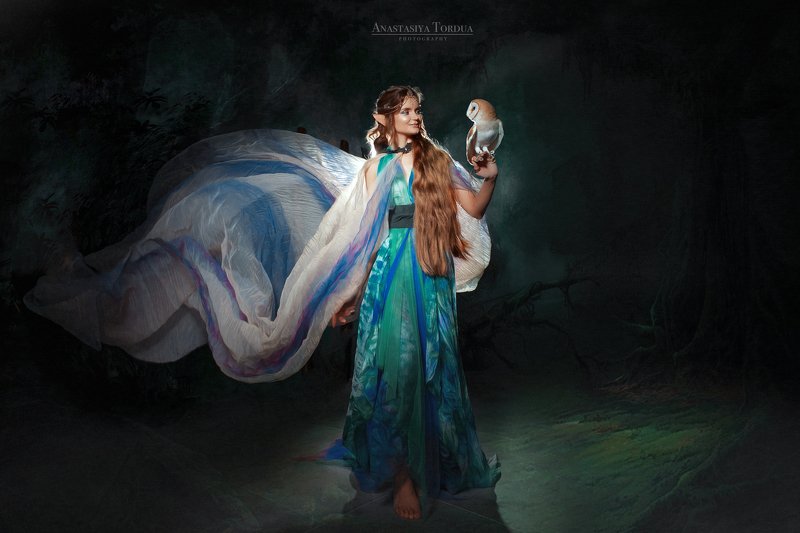 эльф сова сказка Эльфийский мир фото превью