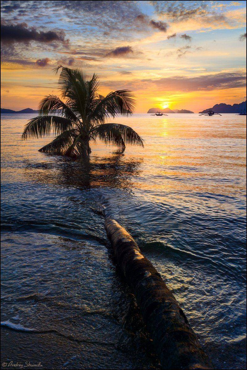 , Андрей Шумилин