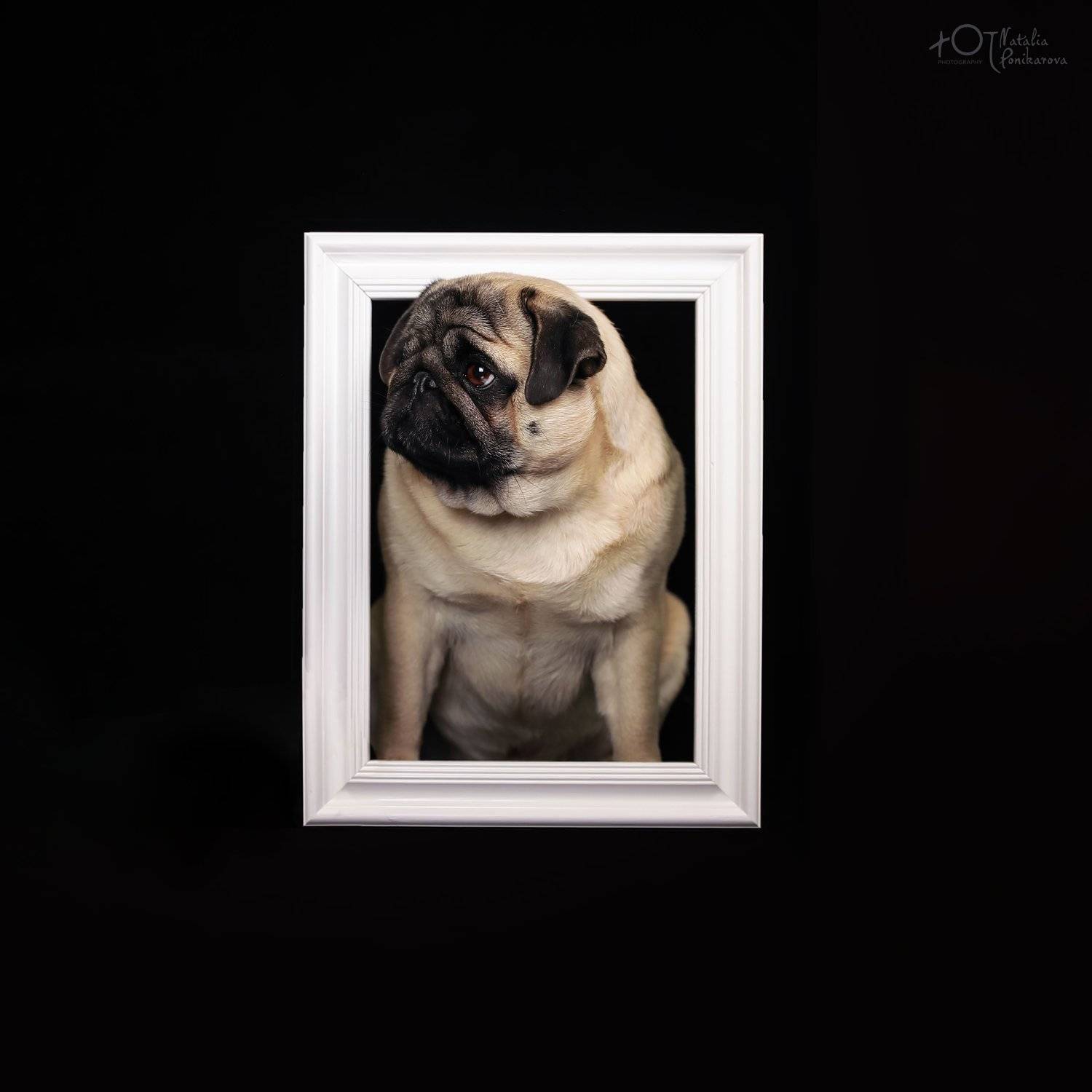 , Наталия Поникарова