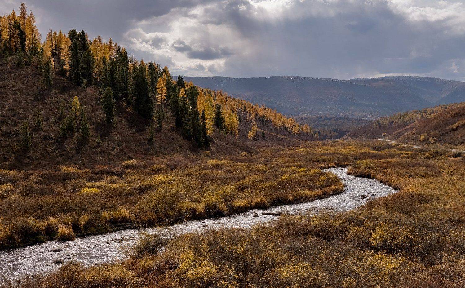 Алтай., Марина Фомина