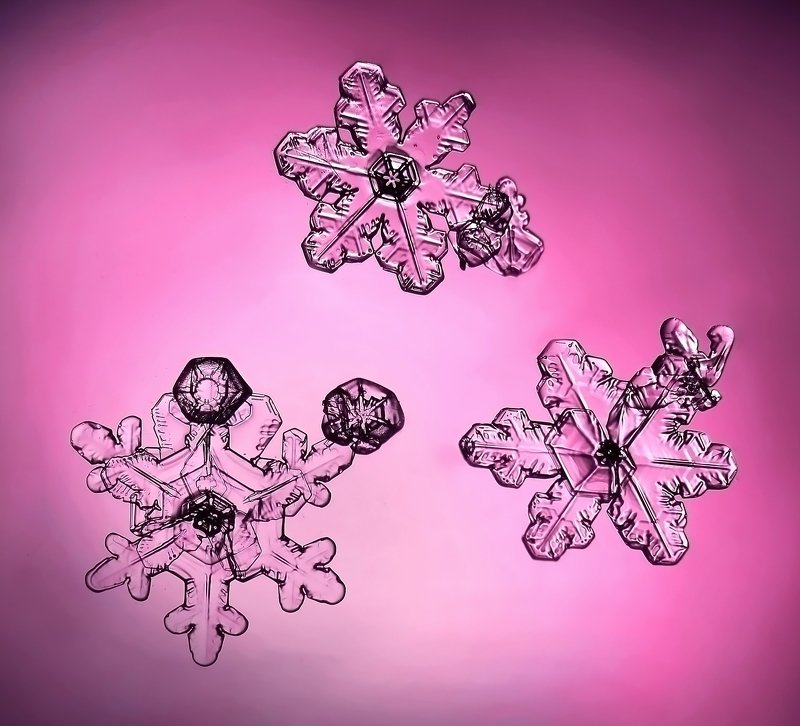 макро, макро мир, снежинки, зимнее макро, волшебство, макросъемка, снег, снежинка, Три девицы... фото превью