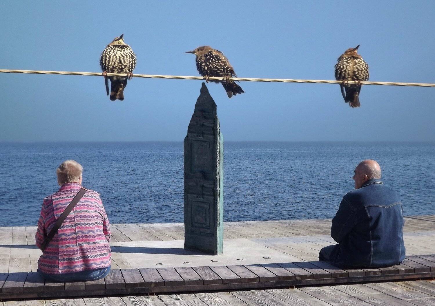 одесса, Сергей Кошелев