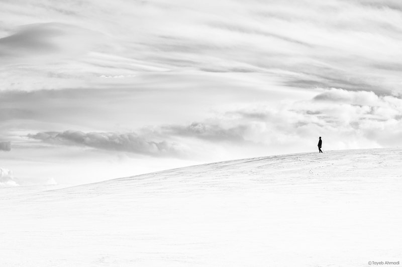 #black_and_white #landscape cold winter фото превью
