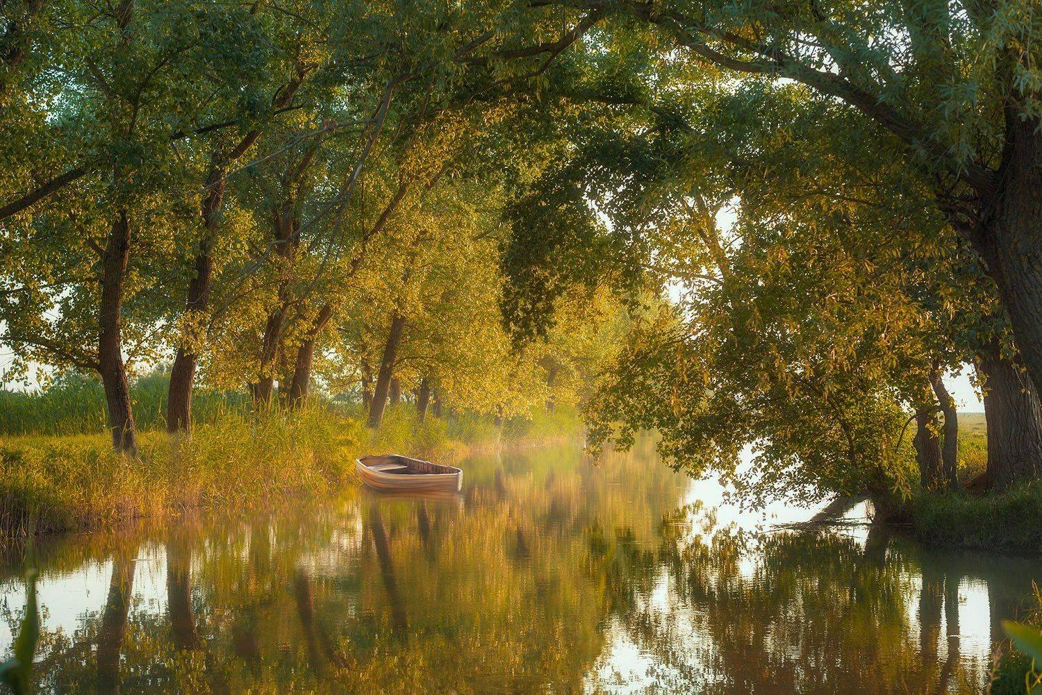 , Александр Костенко