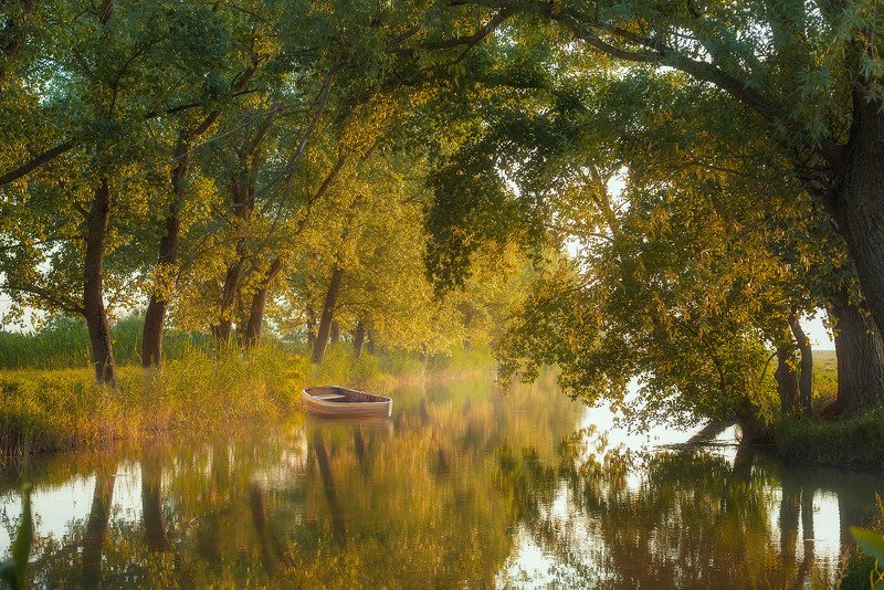 Не много лета... фото превью