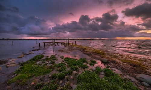 ДОЖДЬ ПРИБЛИЖАЕТСЯ...