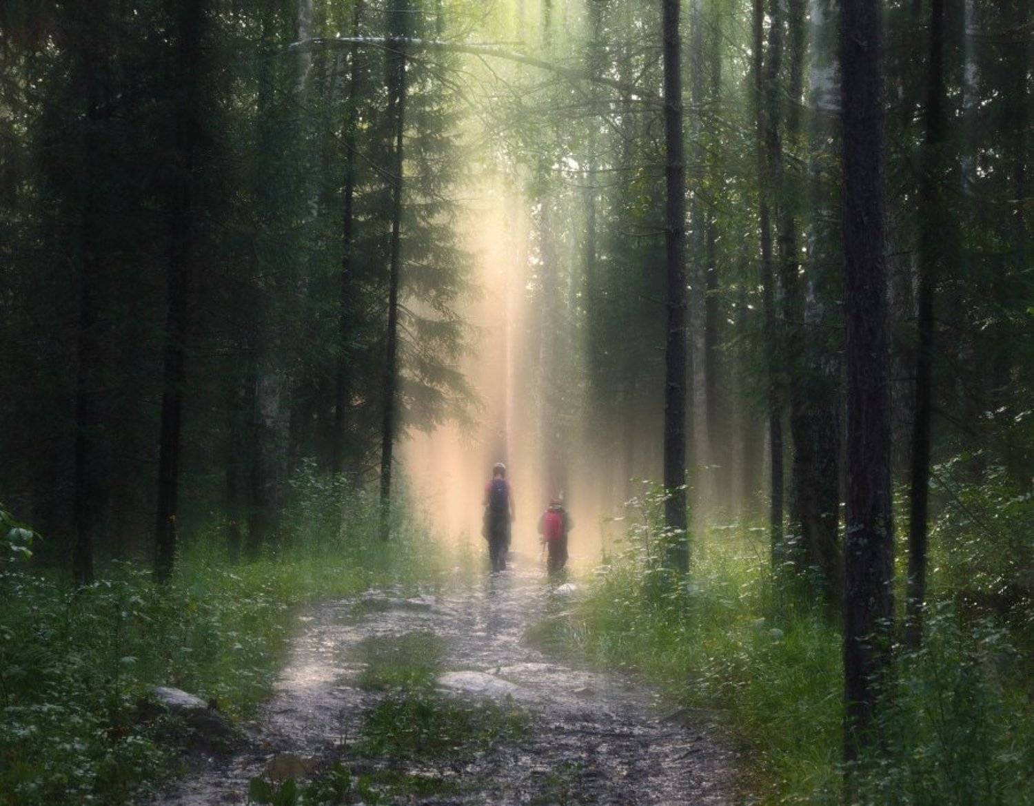 , Сергей Кочергин