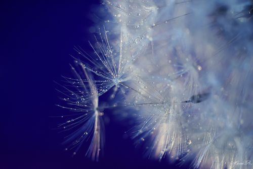 Невесомость