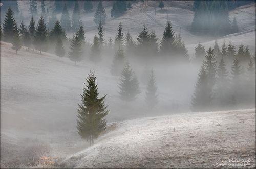 Осенью где-то в Румынии