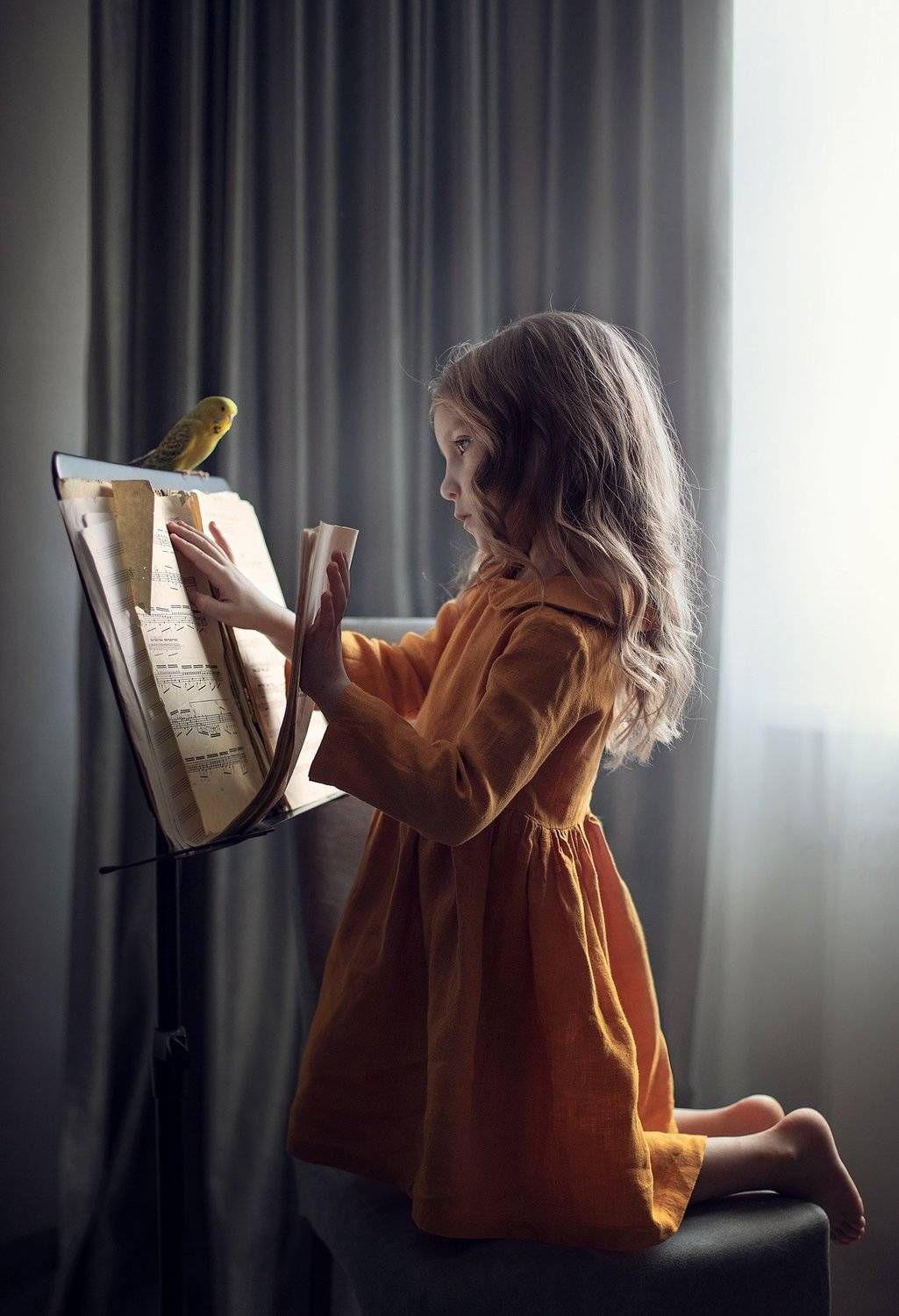 , Дарья Степанова