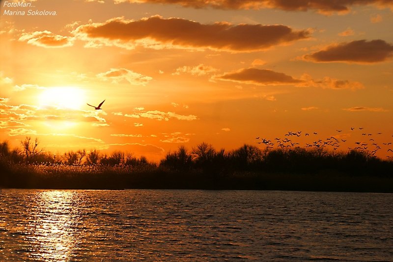 Вечерние краски... фото превью
