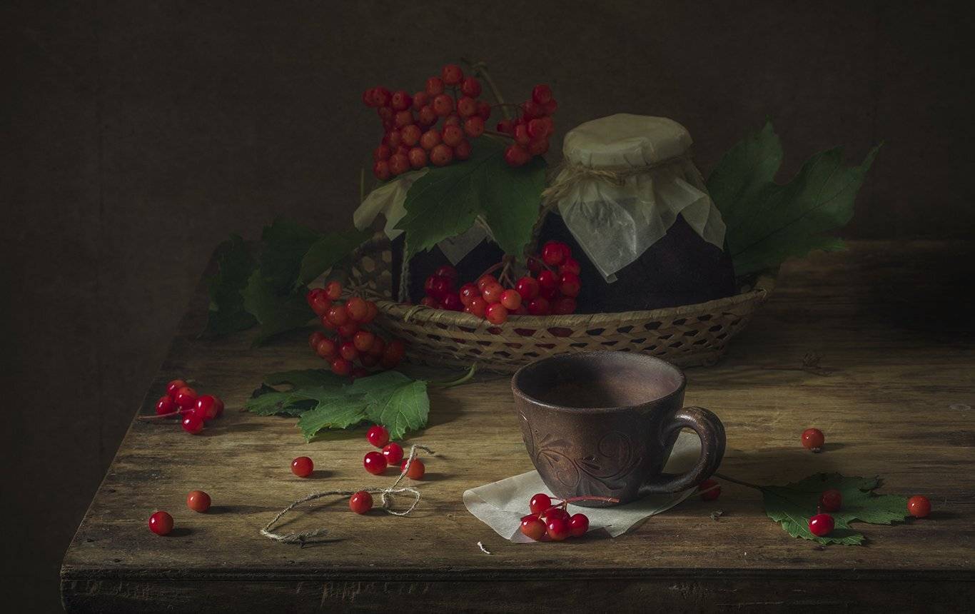 натюрморт,калина, Елена Рубинская