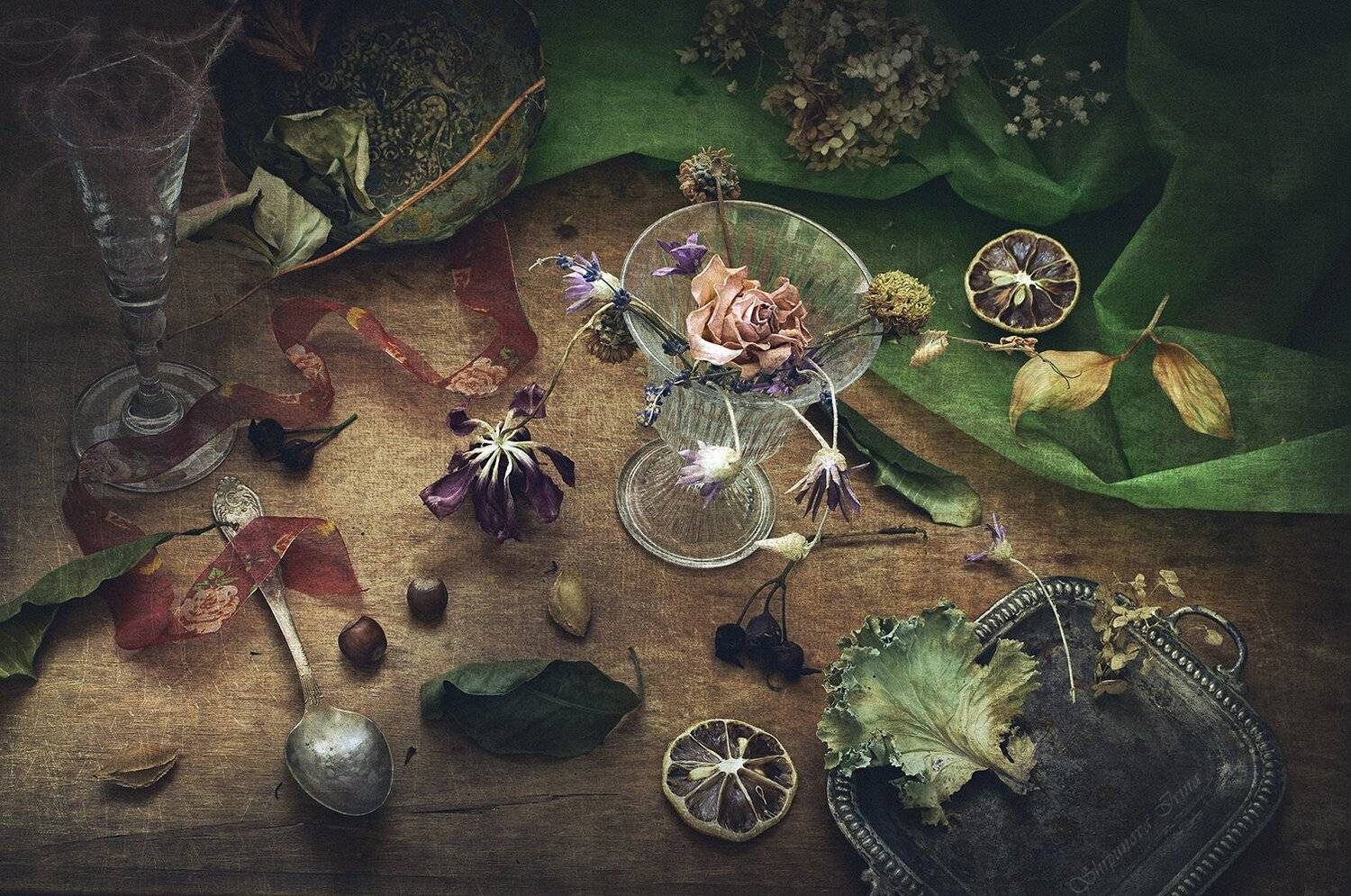 , Шипунова Ирина