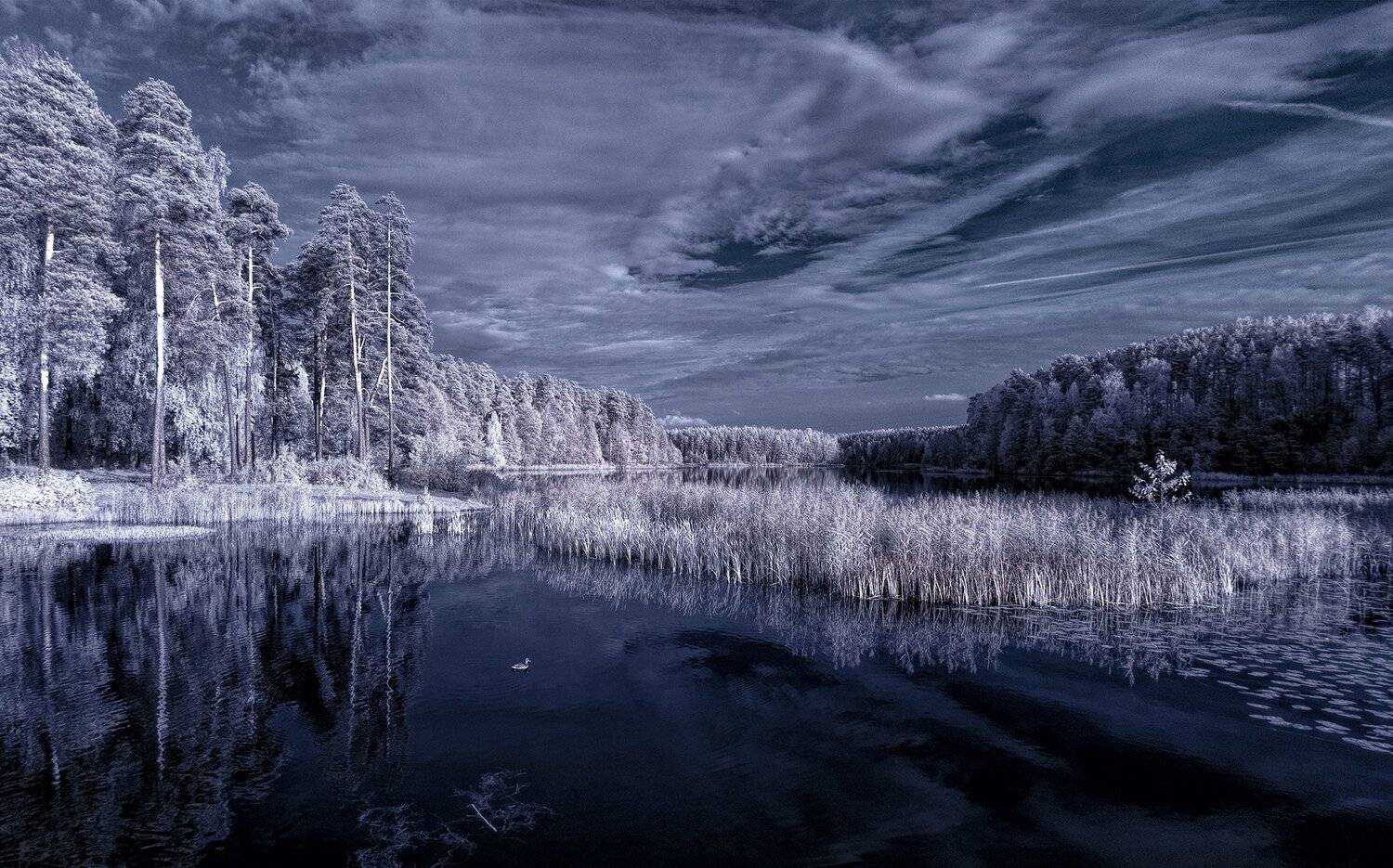 infrared,ик-фото,инфракрасное фото, инфракрасная фотография, пейзаж, осень, Sixten ( Сергей )