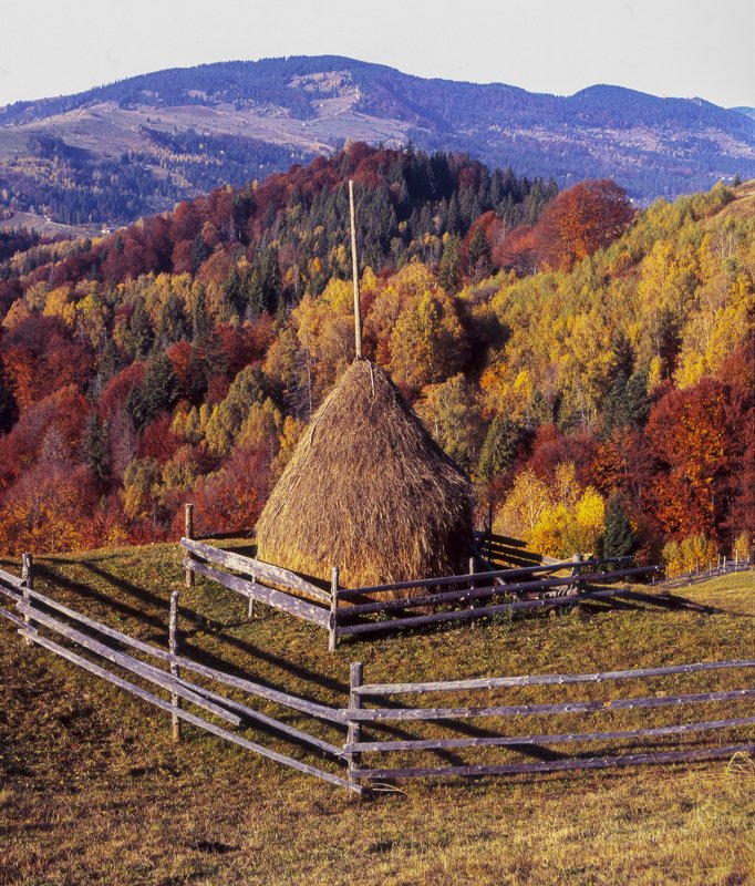 autumn, carpathian, colorful, countryside, fall, field, foliage, forest, hill, house, land, landscape, meadow, morning, mountain, mountains, nature, outdoor, pasture, picturesque, red, rural, scenery, season, tranquil, travel, tree, view, wood, yellow Autumn foliage trees in the mountains. Meadow with haystack and forest in the Carpathian mountains Fuji Velvia film фото превью