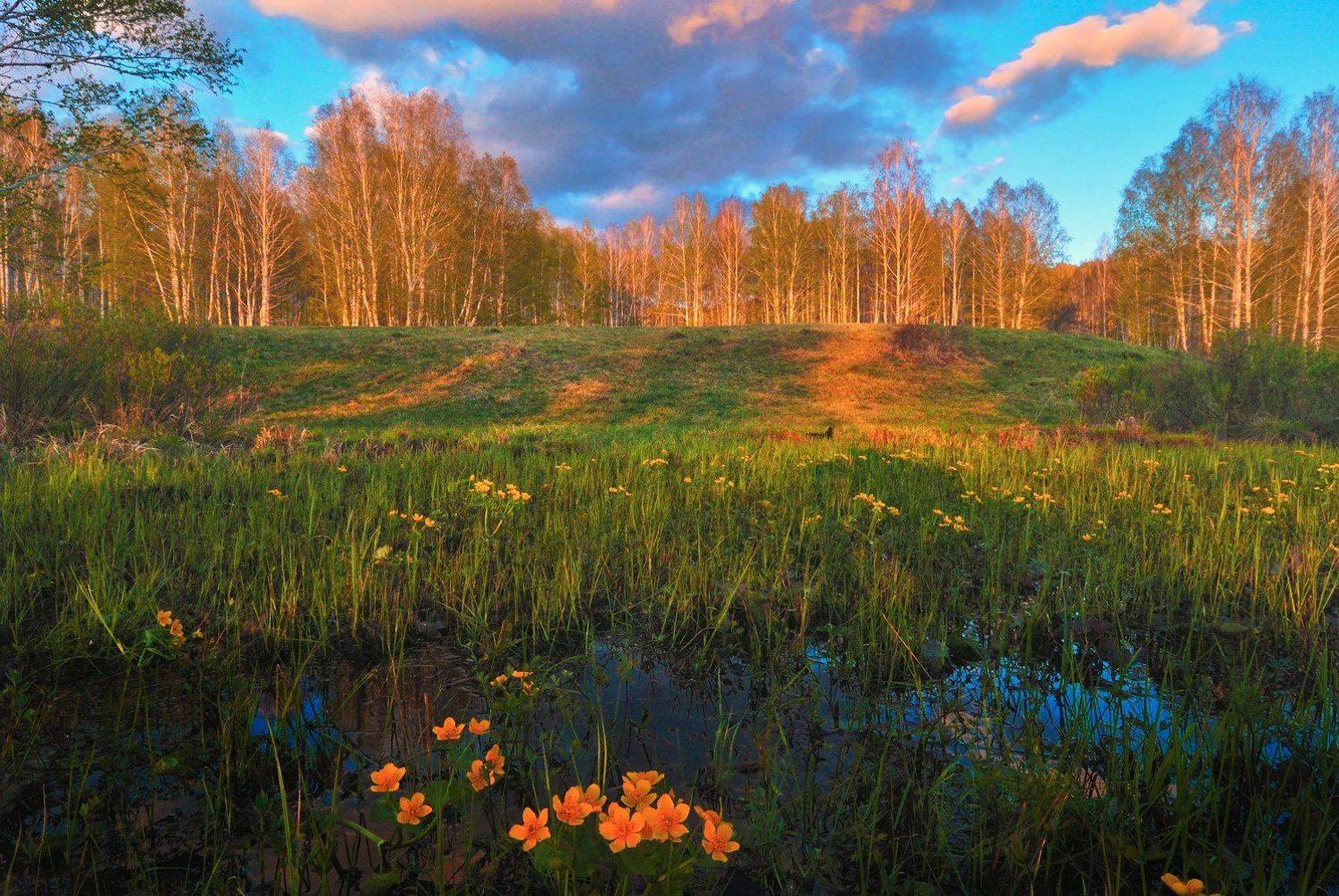 , Клековкин Алексей