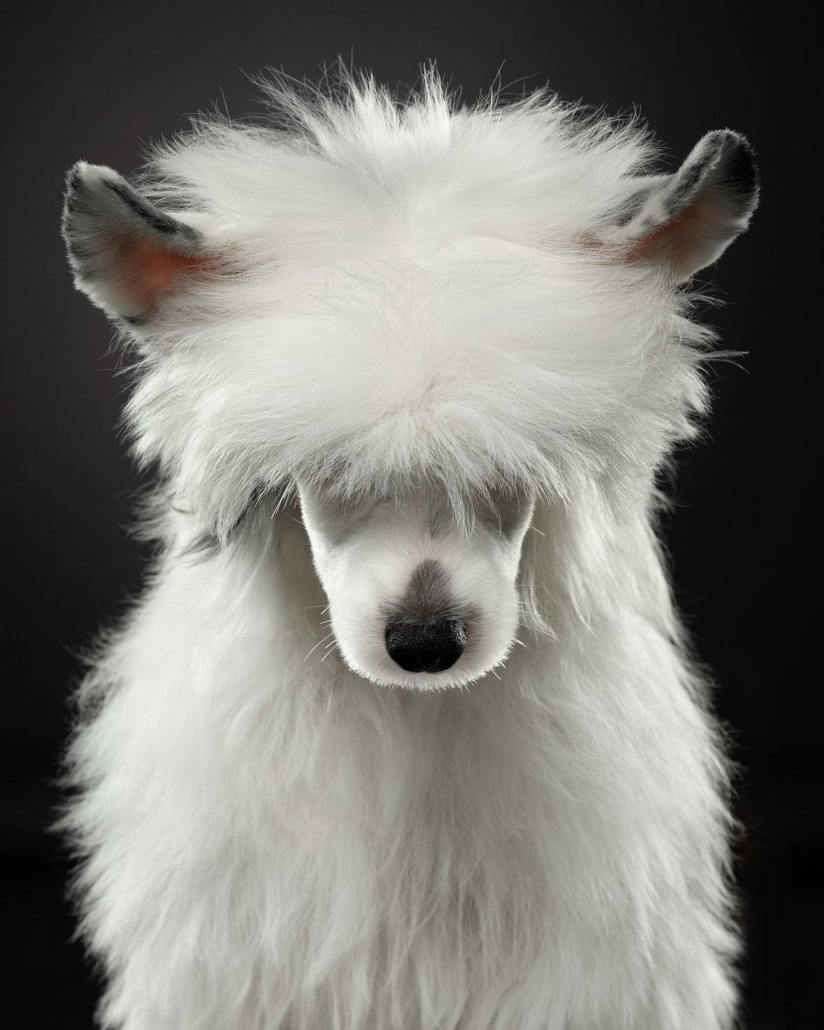 , Анна Аверьянова