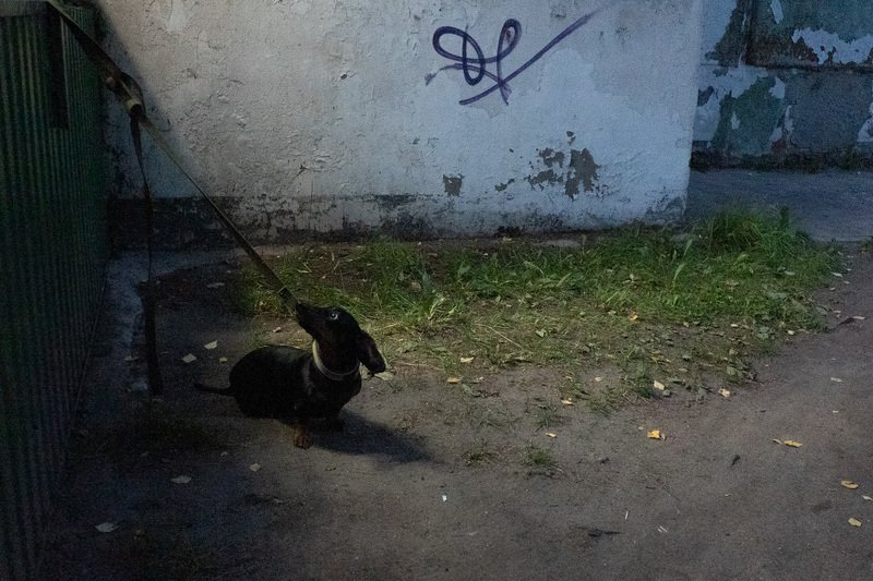 уличная фотография, streetphotography, Ах, лето фото превью