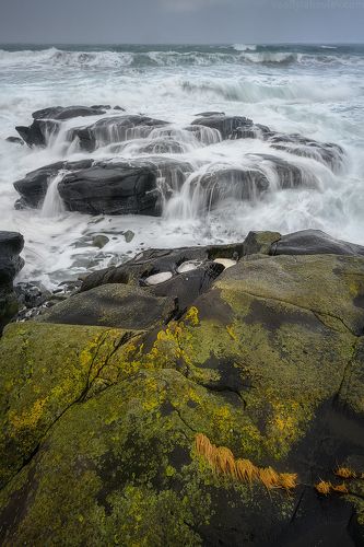 Норвежское море