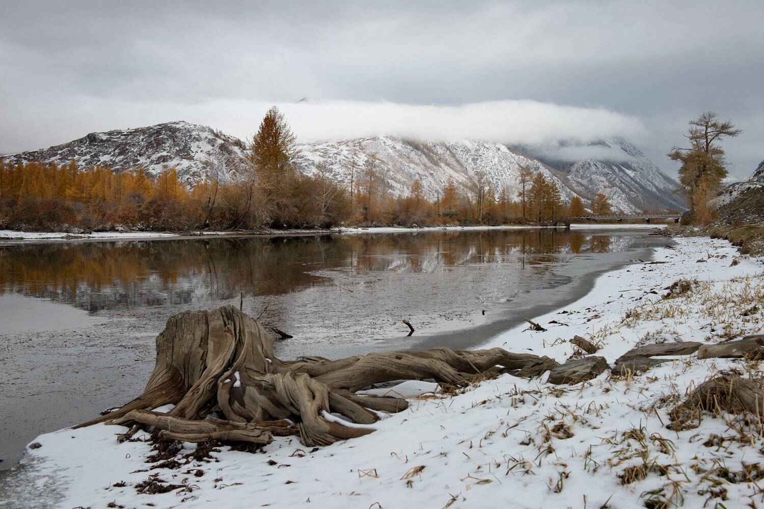 , Борис Леваков