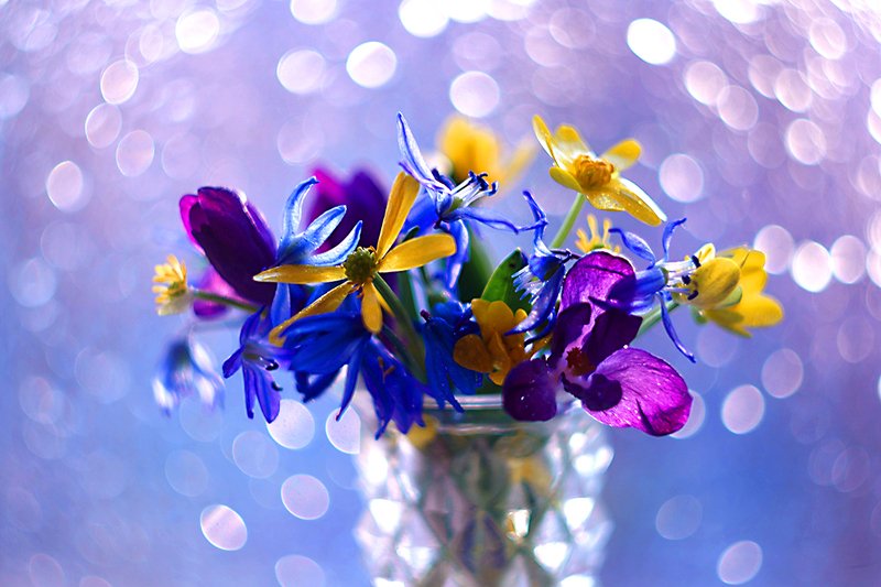 Весеннее настроение... фото превью