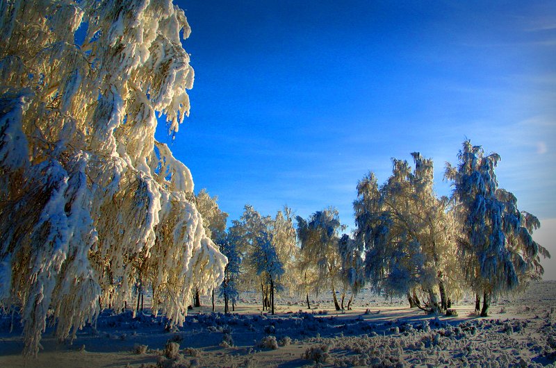 иней иней фото превью