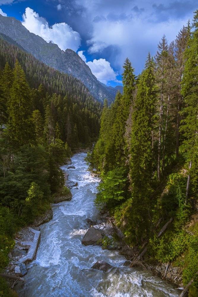 , Светлана Морозова