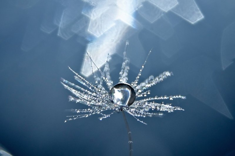 Геометрия фото превью