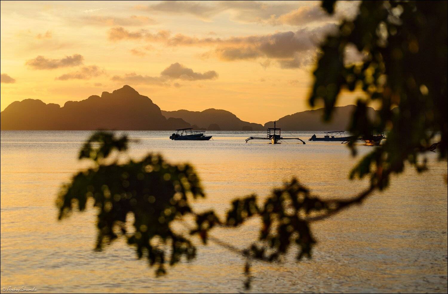 , Андрей Шумилин