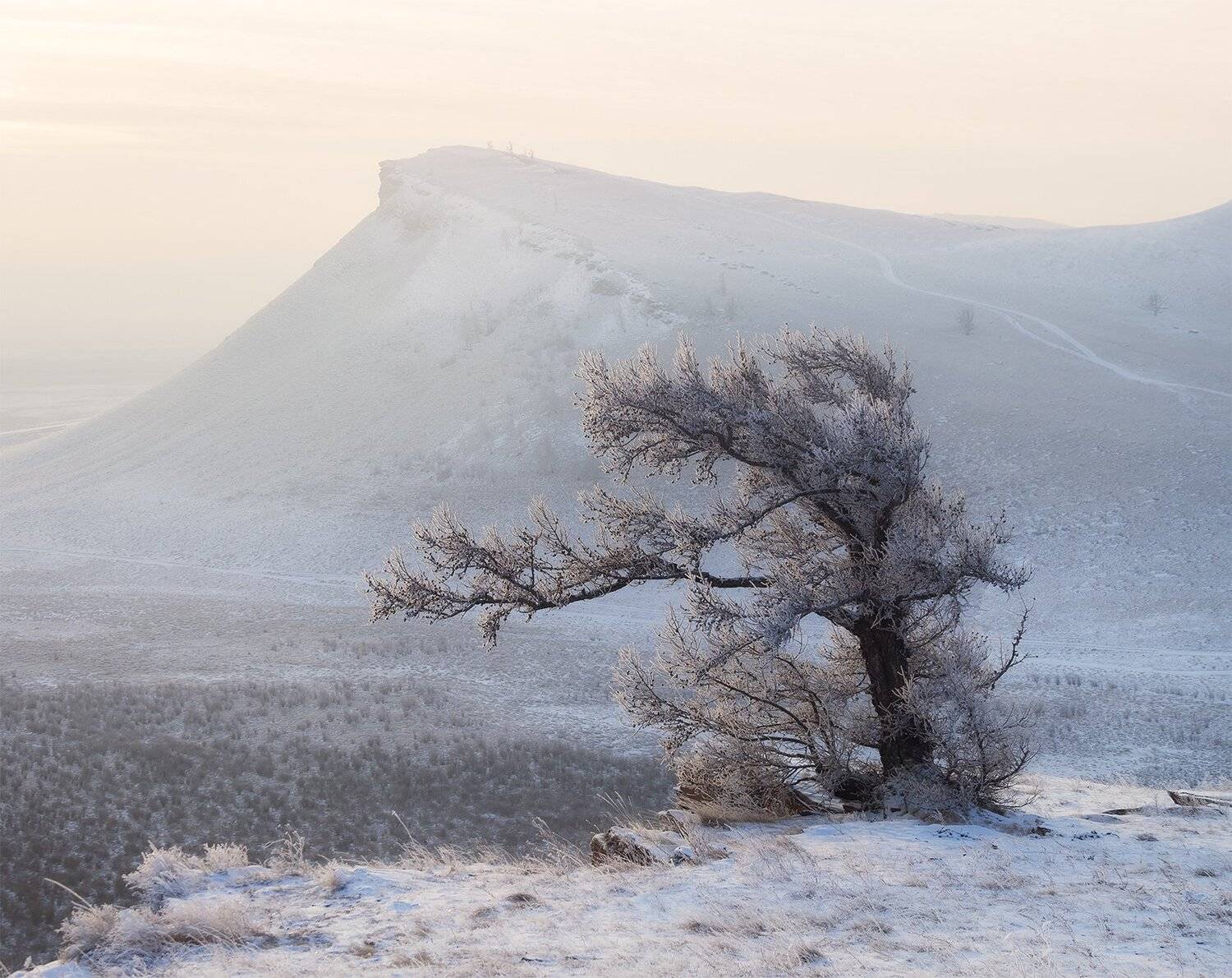 , Лещёнок Александр
