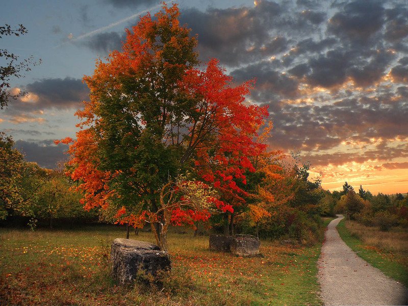 красочная осень фото превью