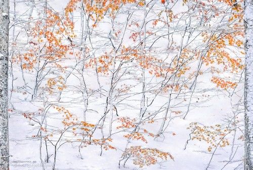 Встреча осени и зимы