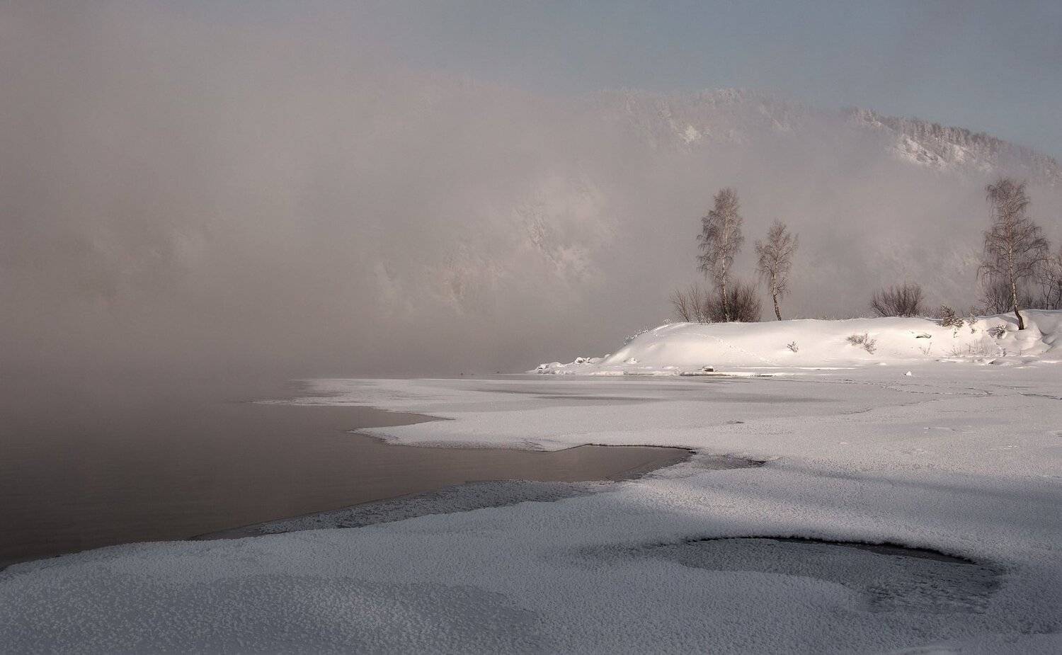 деревья, енисей. туман, островок., Марина Фомина