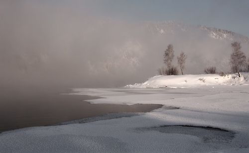 В утреннем  тумане.