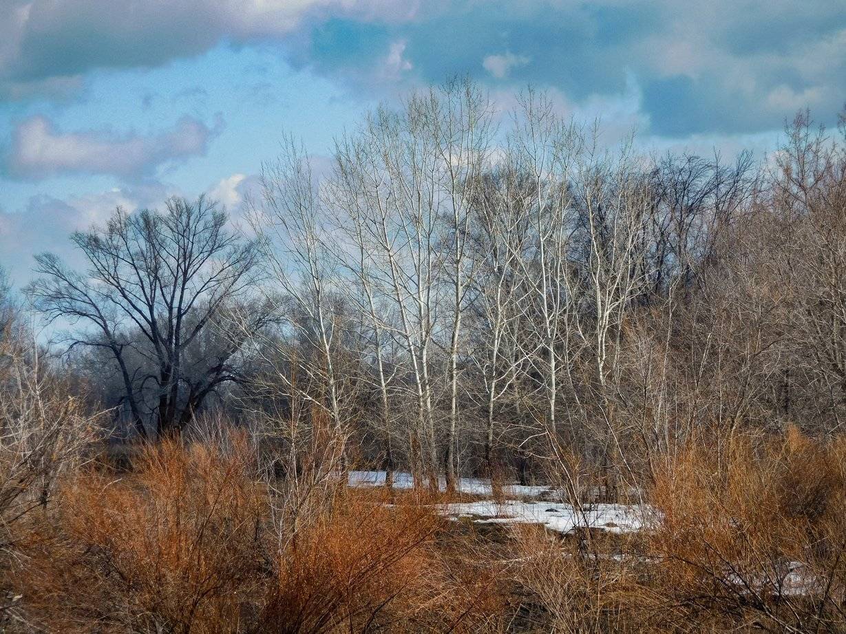 южный урал,оренбургская область, орск, новотроицк,, Качурин Алексей
