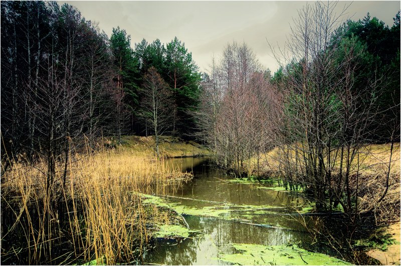 Тихое место. фото превью