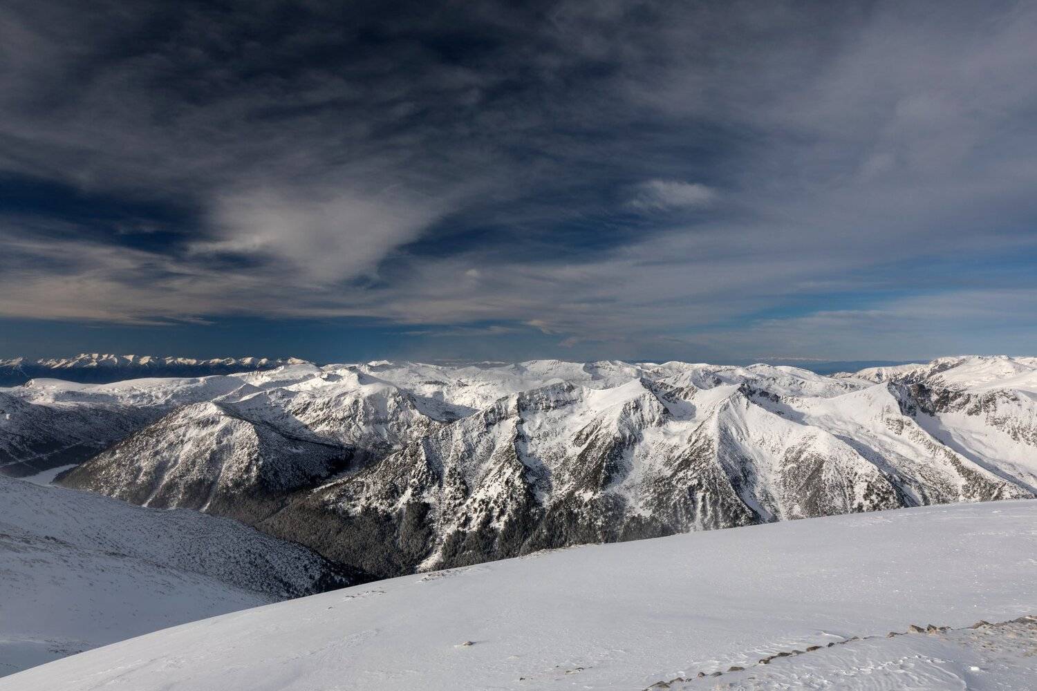 , Александър Сандев