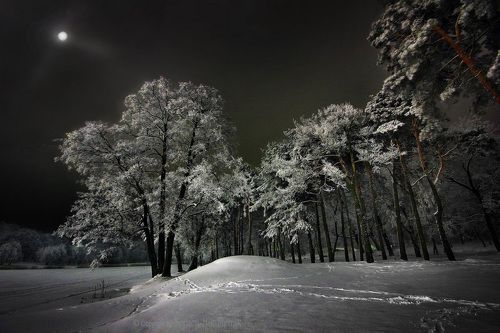 Прощальный звон зимы...