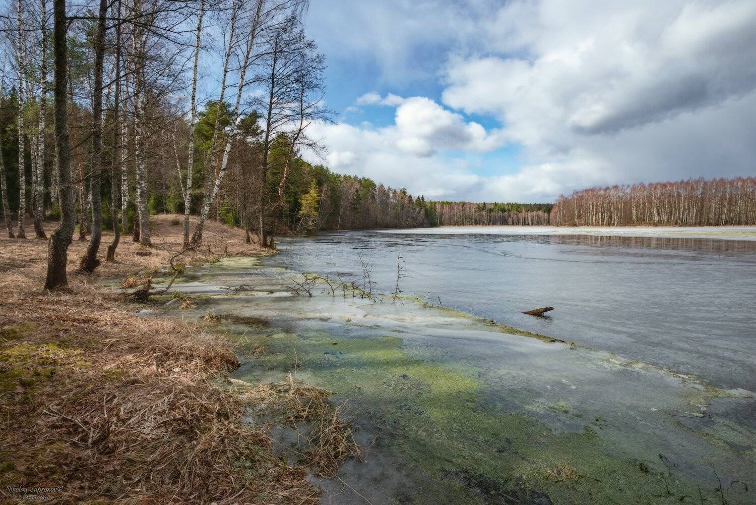 ивановская область, март, весна, разливы, весенние заморозки, заморозки, озеро, лесное озеро, Николай Сапронов