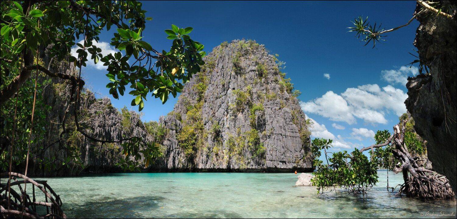 , Андрей Шумилин